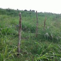 Roberto Ramos, os colegas técnicos e estagiários fazem prática de campo do Balde Cheio em lote do Califórnia - foto arquivo pessoal (11)