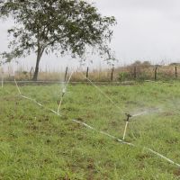 Equipamentos de irrigação mais usados pelos irrigantes é pouco eficiente e demanda tempo para ser deslocado pelos setores da lavoura - Foto Fernando Augusto (Ascom/Cohidro)