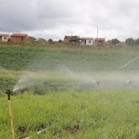 A irrigação da pastagem é crucial para o sistema de manejo de piquetes do 'Balde Cheio' - foto Fernando Augusto (Ascom Cohidro)