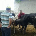 Foto: Arquivo pessoal - Roberto Ramos (Califórnia/Cohidro)