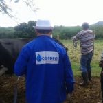 Foto: Arquivo pessoal - Roberto Ramos (Califórnia/Cohidro)