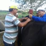 Foto: Arquivo pessoal - Roberto Ramos (Califórnia/Cohidro)