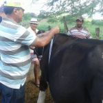 Foto: Arquivo pessoal - Roberto Ramos (Califórnia/Cohidro)