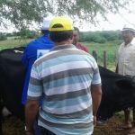 Foto: Arquivo pessoal - Roberto Ramos (Califórnia/Cohidro)