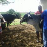 Foto: Arquivo pessoal - Roberto Ramos (Califórnia/Cohidro)