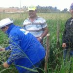 Foto: Arquivo pessoal - Roberto Ramos (Califórnia/Cohidro)