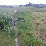 Foto: Arquivo pessoal - Roberto Ramos (Califórnia/Cohidro)