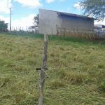 Foto: Arquivo pessoal - Roberto Ramos (Califórnia/Cohidro)