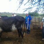 Foto: Arquivo pessoal - Roberto Ramos (Califórnia/Cohidro)