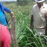Foto: Arquivo pessoal - Roberto Ramos (Califórnia/Cohidro)