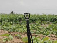 Novo sistema de irrigação fará economia de 60% da água e 50% da energia elétrica utilizada nos dois perímetros irrigados da Cohidro - foto Ascom Cohidro