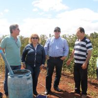 Levado a conhecer plantio de uva do irrigantes Levi Ribeiro, Carlos Melo fica satisfeito com o aprimoramento das áreas irrigadas em receber novas culturas - Foto Fernando Augusto (Ascom-Cohidro)