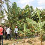 Foto: Isabela Menezes