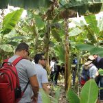 Visita ao bananal atendia à expectativa da atividade acadêmica por exemplos de fruticultura irrigada - Foto: Isabela Menezes (Ascom/Cohidro)
