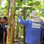 Foto: Isabela Menezes