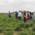 Foto: Isabela Menezes