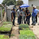 Foto: Isabela Menezes