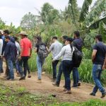 Foto: Isabela Menezes