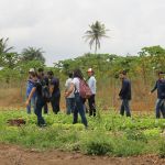 Hortas irrigadas e com manejo agroecológico despertaram o interesse dos estudantes do Campus do Sertão - Foto: Isabela Menezes (Ascom/Cohidro)