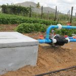 Filtros e registros regula pressão e permite o uso da fertirrigação - adubo diluído, transportado e aplicado na planta (foto Fernando Augusto - Ascom/Cohidro)