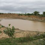 No povoado Aningas, em Glória, as trovoadas ainda fizeram recarga d'água na barragem recuperada ( foto Ascom Cohidro - Fernando Augusto)