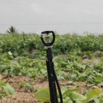 Novo sistema de irrigação fará economia de 60% da água e 50% da energia elétrica utilizada nos dois perímetros irrigados da Cohidro (foto Ascom/Cohidro)